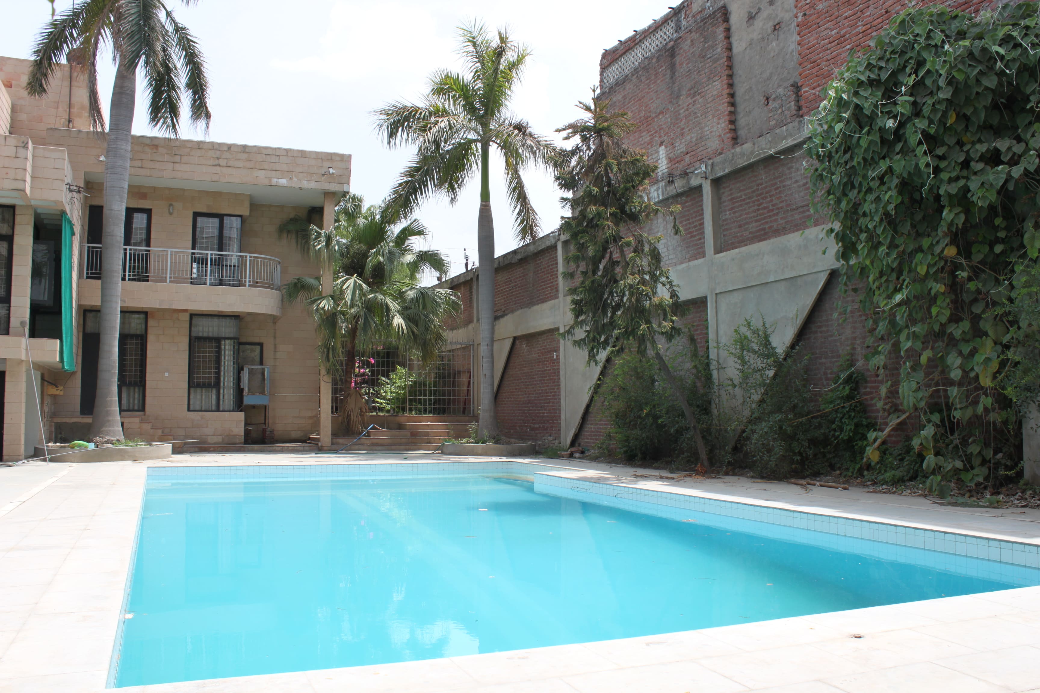 Senior Wellness Programme