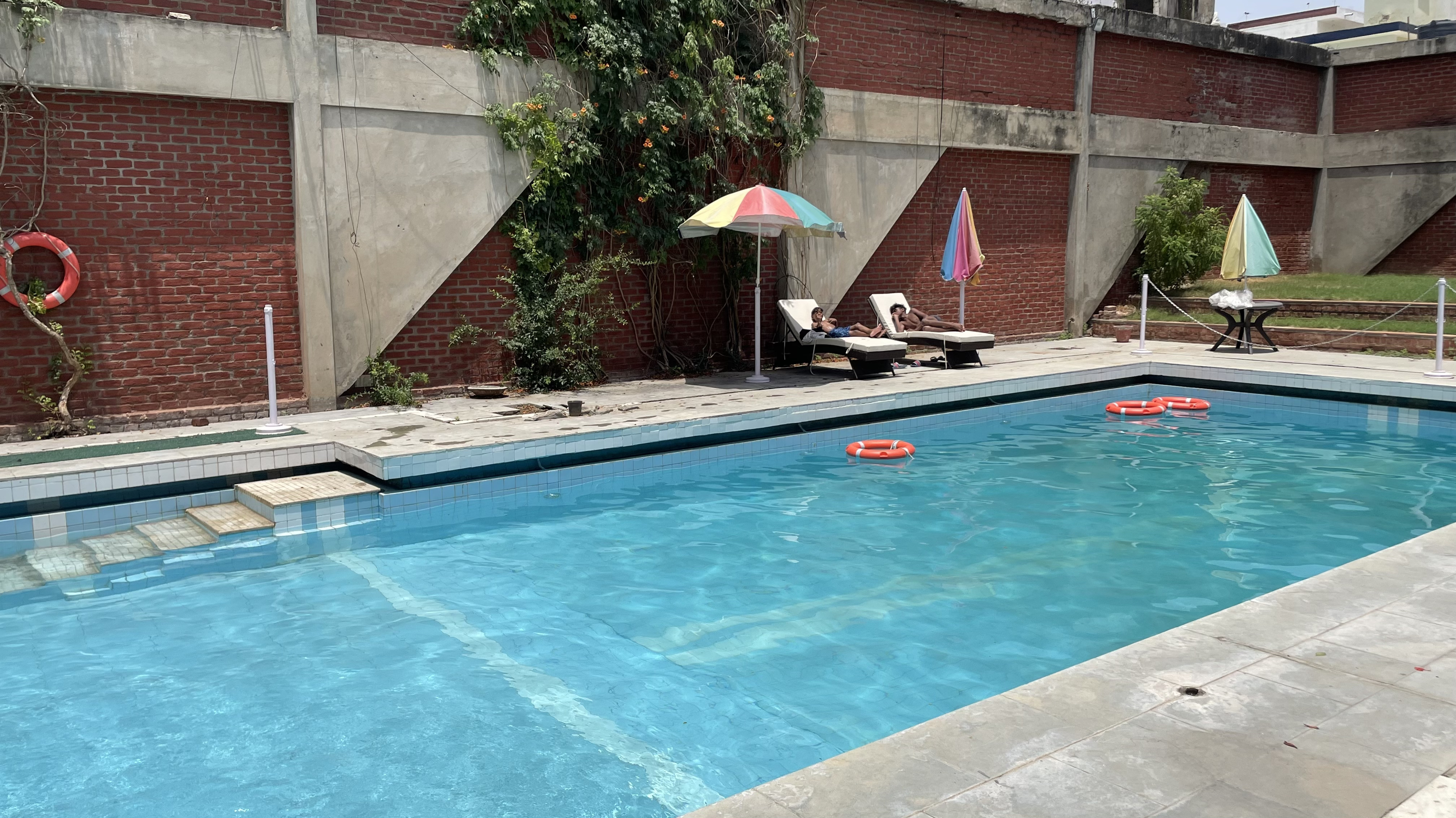 Green Pool Day — moment 2